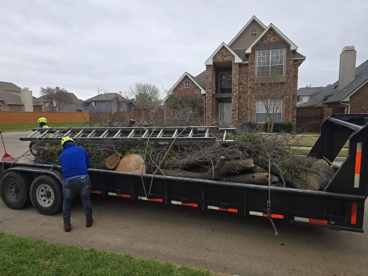 Expert Tree Removal with proper safety equipment in New Hill
